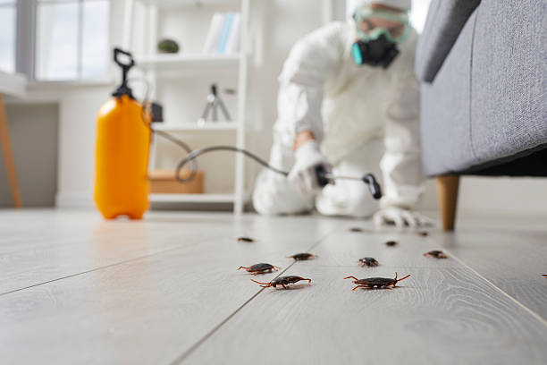 Commercial Kitchen Cockroach Control in Byhalia